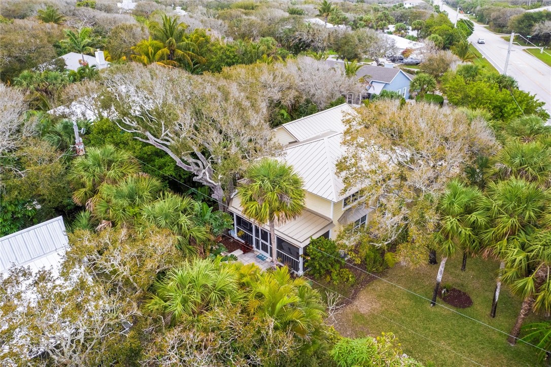 Beautiful tropical foliage and oak trees
