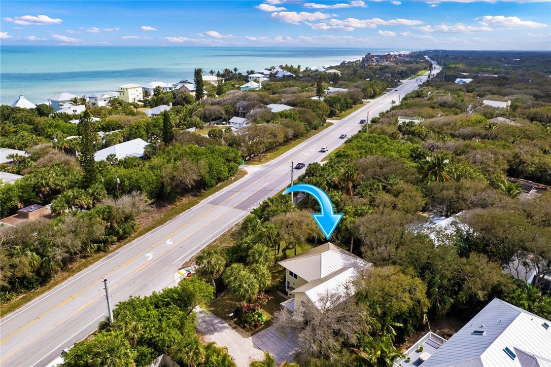 A1A tree line buffer