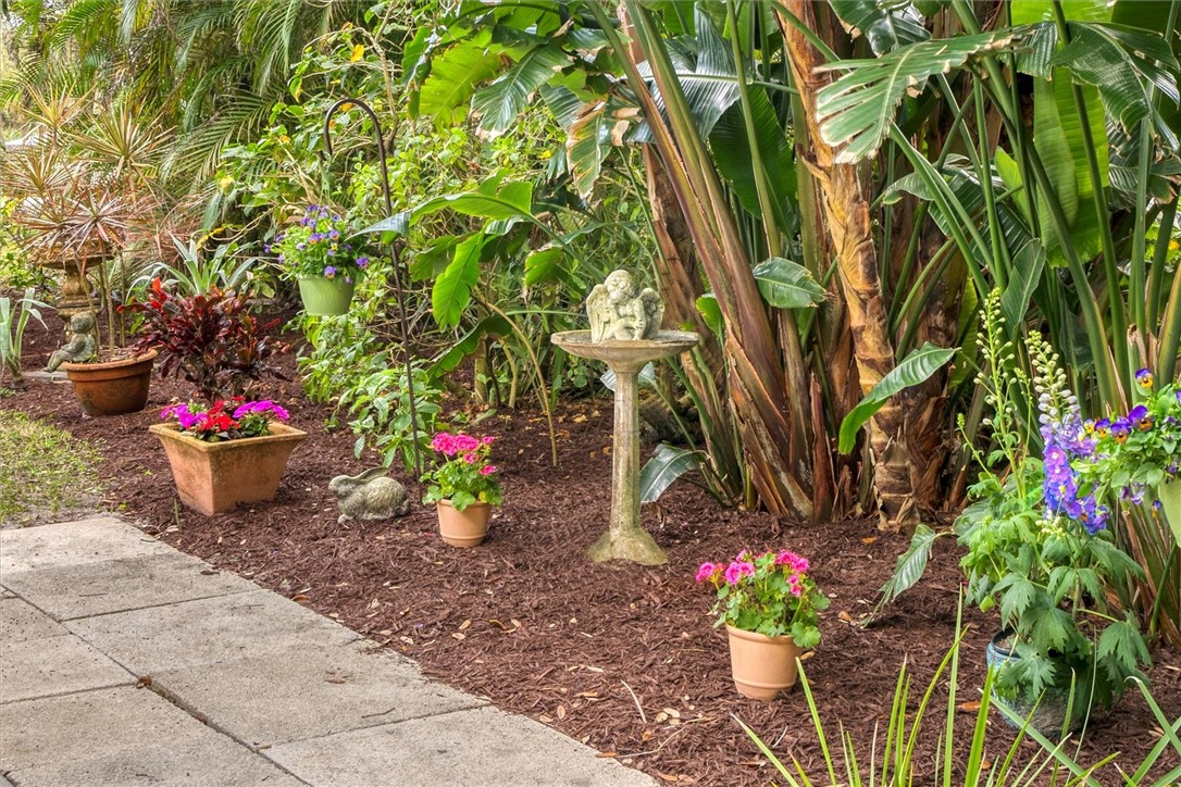 Tropical landscape and garden area.