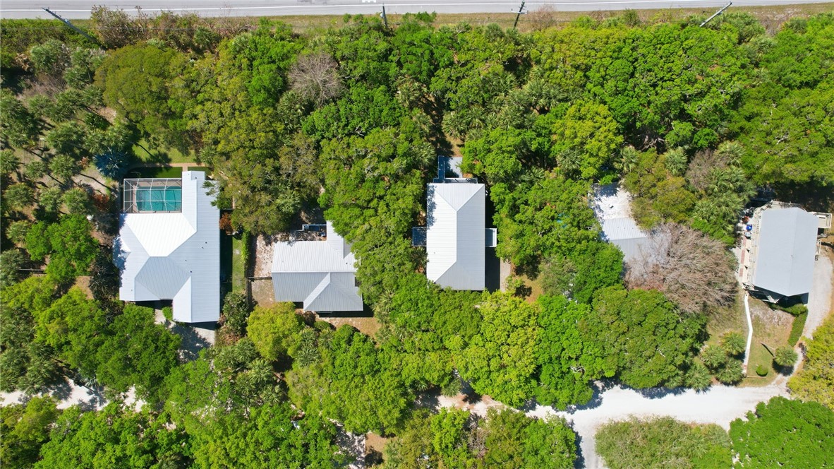 Aerial with sand shell road and canopy of live oak