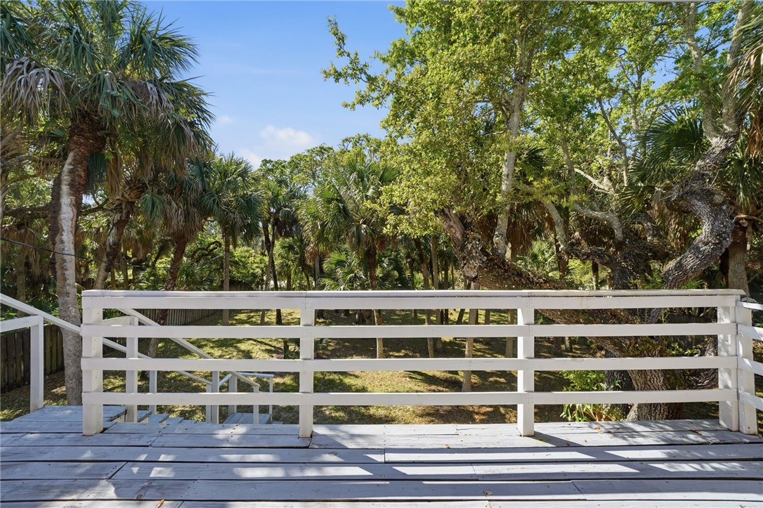 View of back yard filled with native tropical plan
