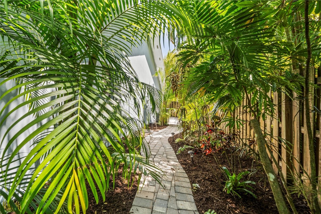 Stone paver pathway bordered by tropical foliage,