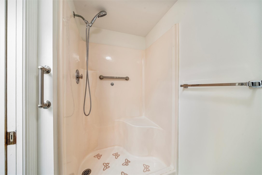 Primary Bath Shower