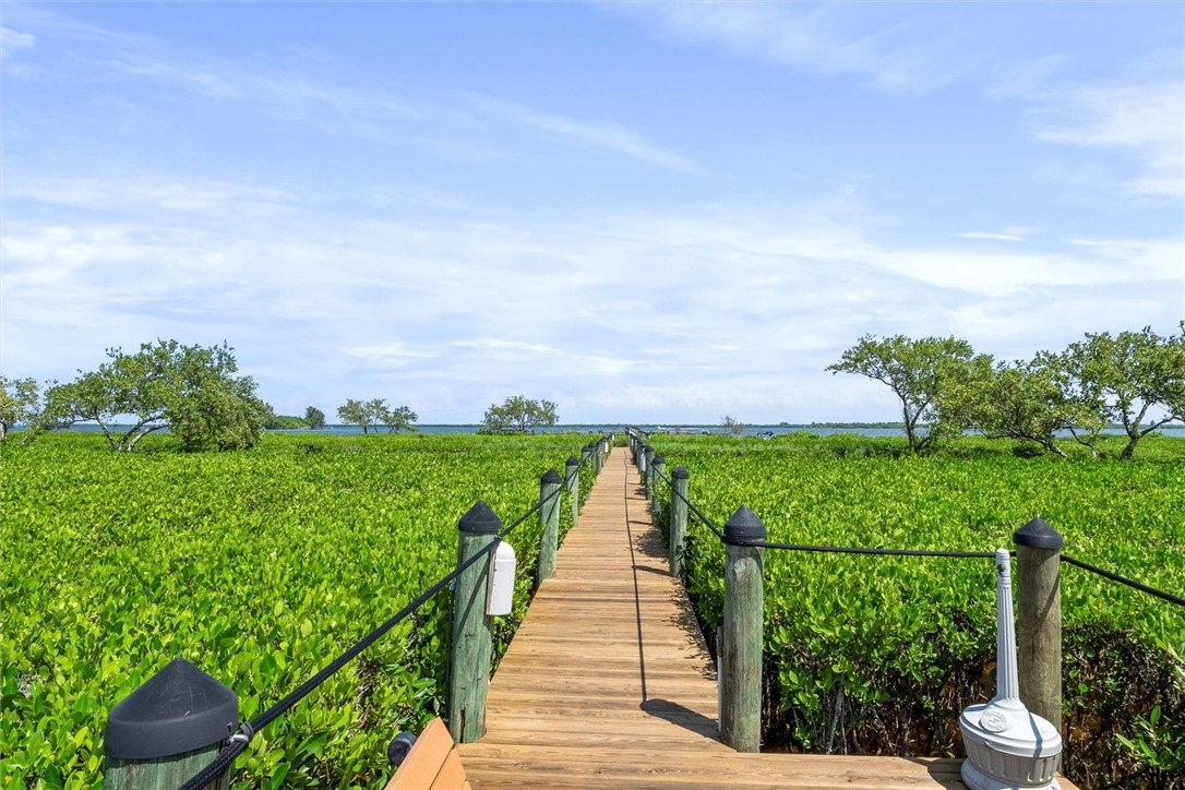 Expansive wooden boardwalk extending over lush gre